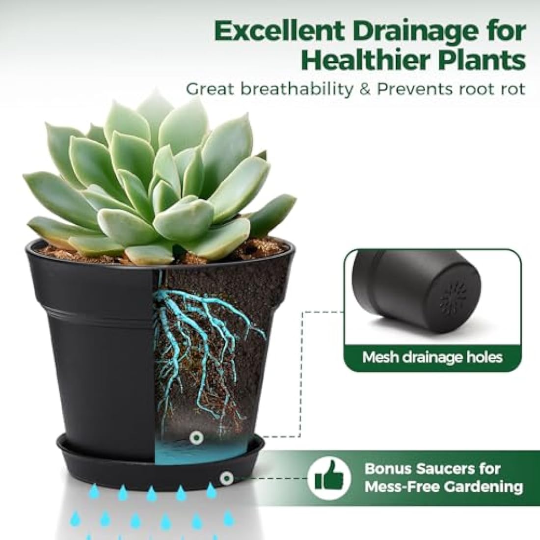 T4U Plastic Plant Pots 6-Pack, Flower Pot with Drainage Hole and Saucer, Classic Indoor Outdoor Plant Pots for Succulent, Snake Plant, Aloe Vera and All House Plants (16CM Opening Diameter, Black)