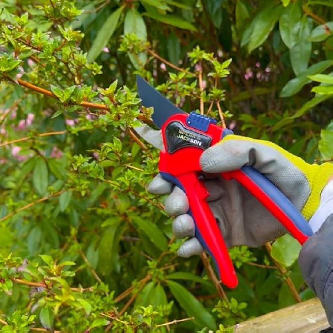 Spear & Jackson 6060BS Razorsharp Advantage Large Bypass Pruning Shear, Blue