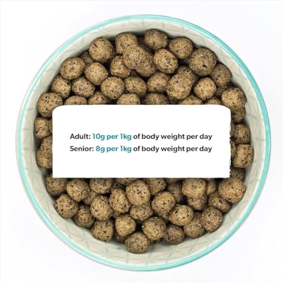 Burns Pet Nutrition Hypoallergenic Complete Dry Dog Food Adult and Senior Dog Grain Free Duck and Potato Grain Free 12 kg