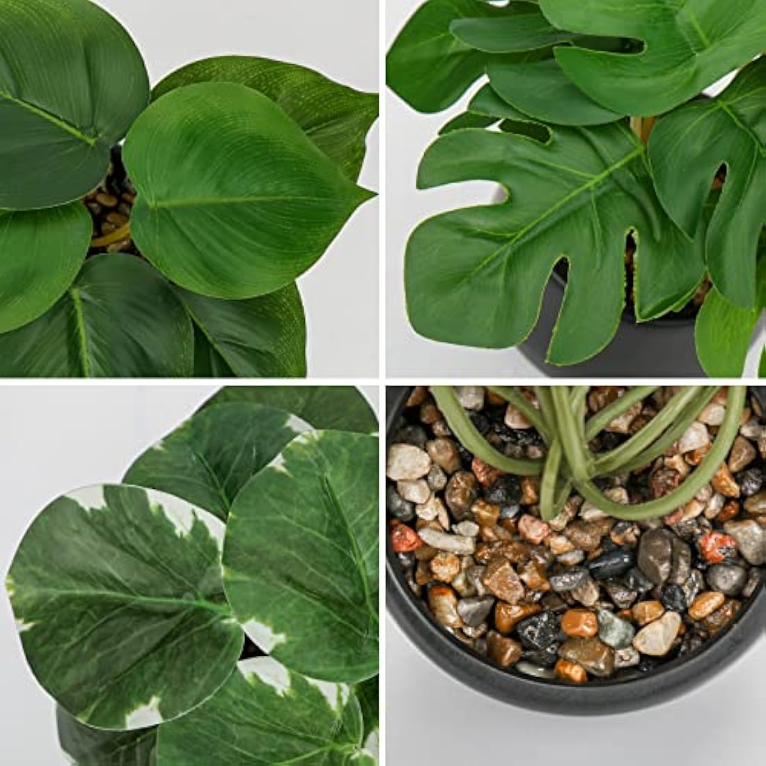 Briful Set of 3 Small Fake Plants in Ceramic Pot, Monstera Faux Potted Plants, Pilea Artificial Plants Scindapsus Aureus Plants Artificial for Home Kitchen Bathroom Decor