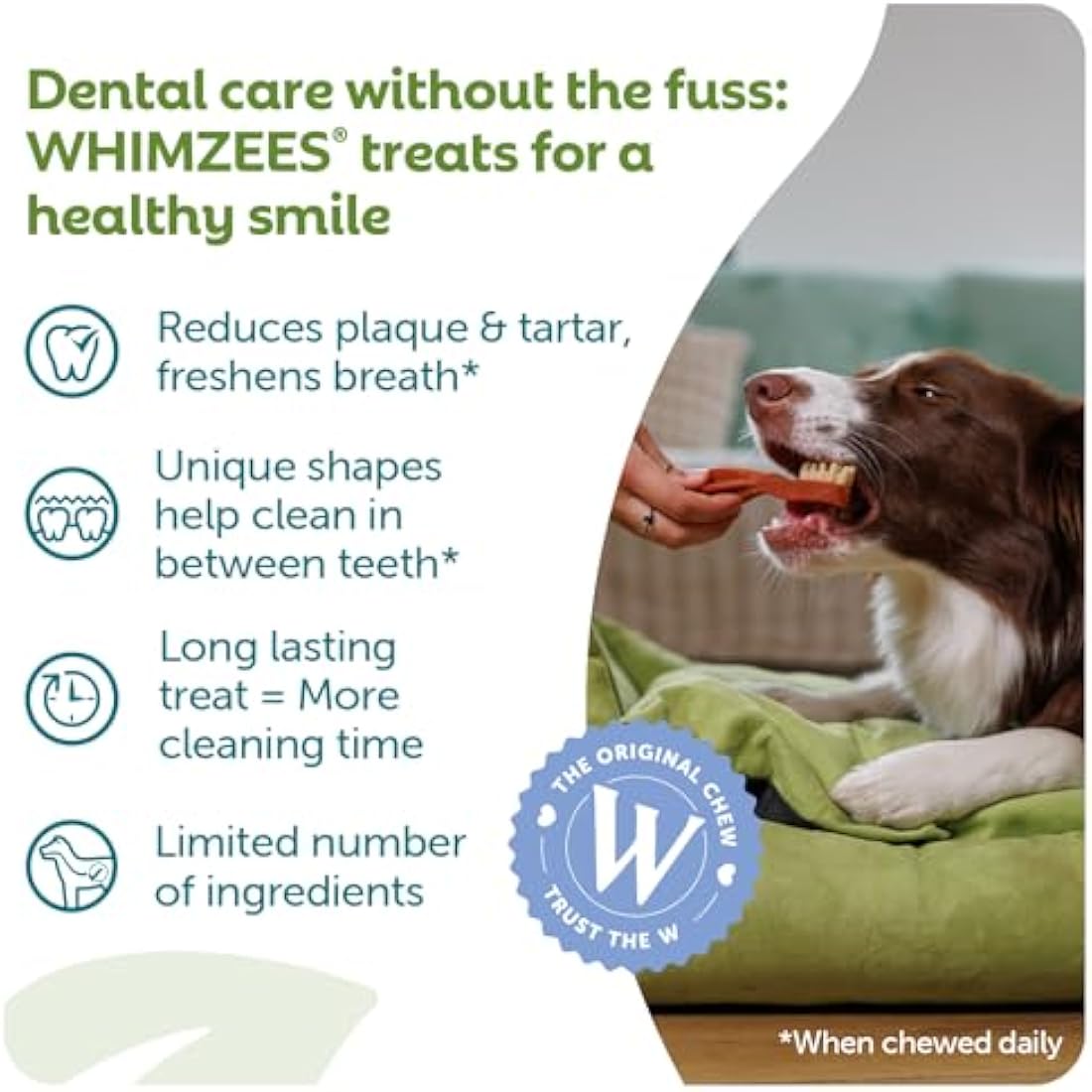 WHIMZEES By Wellness Toothbrush, Natural And Grain-Free Dog Chews, Dog Dental Sticks Medium Breeds, 12 Pieces, Size M