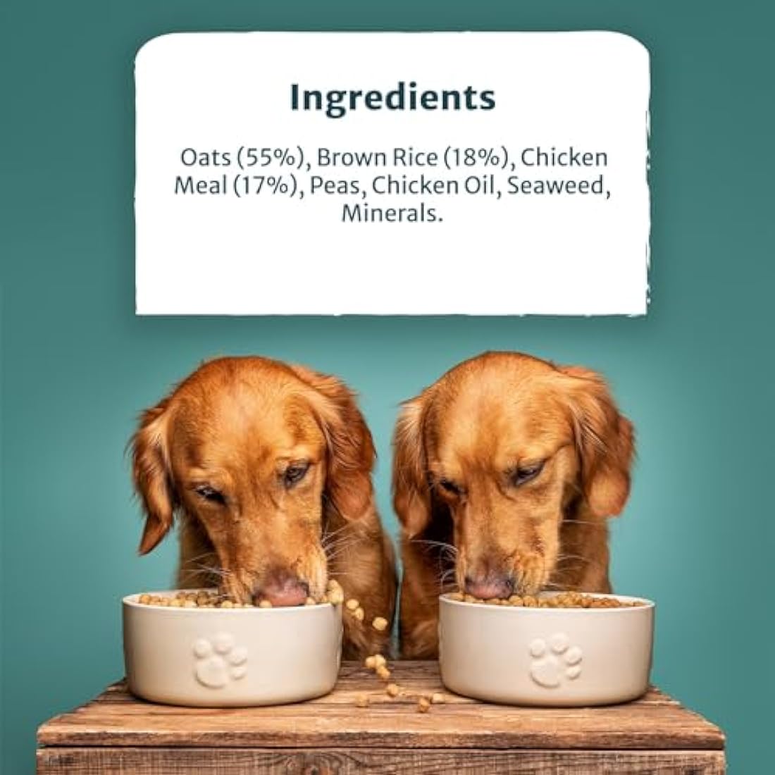 Burns Pet Nutrition Hypoallergenic Complete Dry Dog Food Adult and Senior Dog Weight Control Chicken and Oats 12 kg