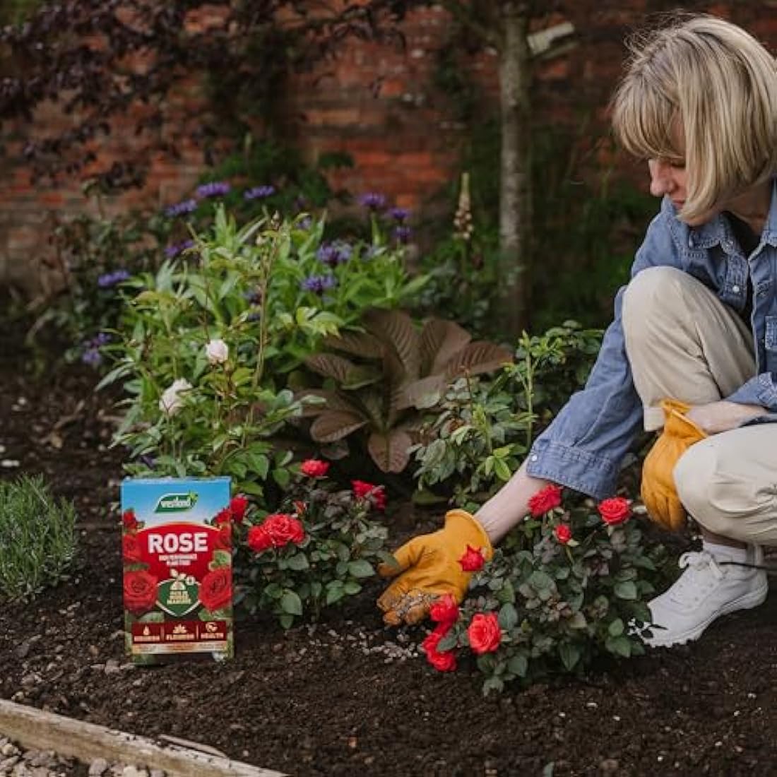 Westland Horse Manure and Plant Stimulant Enriched Rose Food, 3 kg