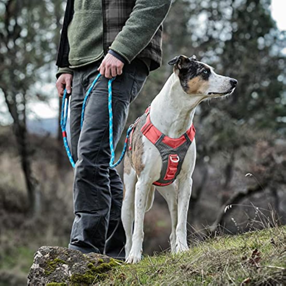 Kurgo Journey Air Harness, Coral, L