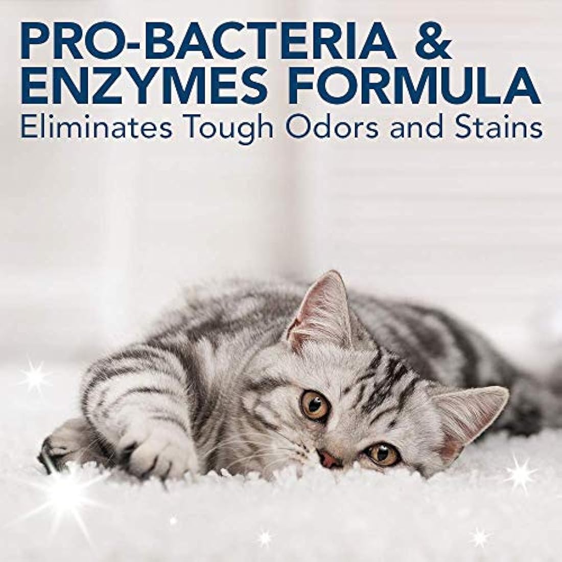 OUT! Super Strength Pet Stain and Odour Remover| Enzymatic Pro-Bacteria Cleaner 500 ml