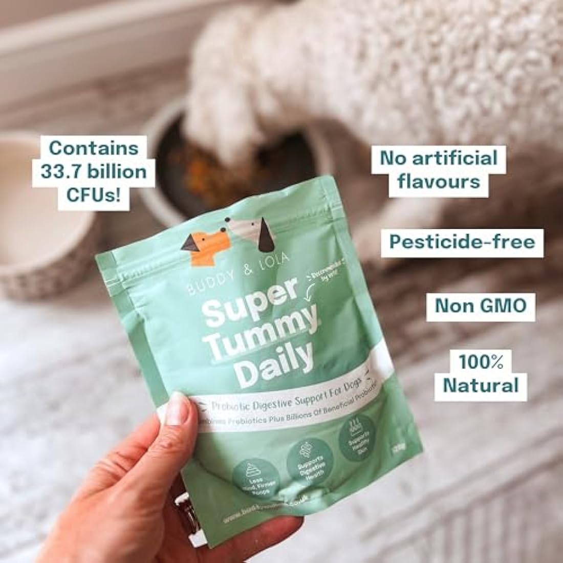 Buddy and Lola Probiotics for Dogs - High CFU Count, Plant-Based Dog Probiotics Powder for Gut Health and Skin Health - Essential Dog Soil Based Probiotic Supplement