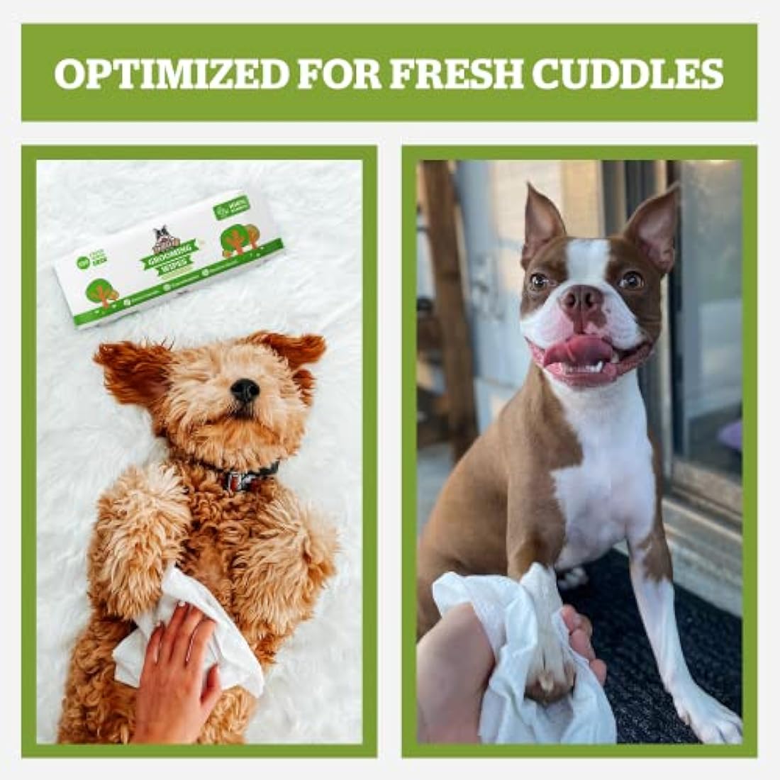 Pogi’s Dog Wipes – Plant-Based, Hypoallergenic Wipes for Dogs and Puppies – Green Tea Scented, 400-Count