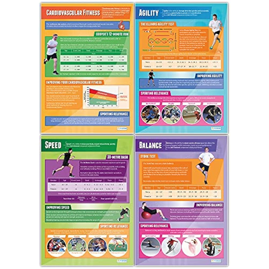 Daydream Education Components of Physical Fitness Classroom Posters - Set of 12 - EXTRA LARGE - A1 (850mm x 594mm) - Gloss Paper - PE Secondary School Wall Charts