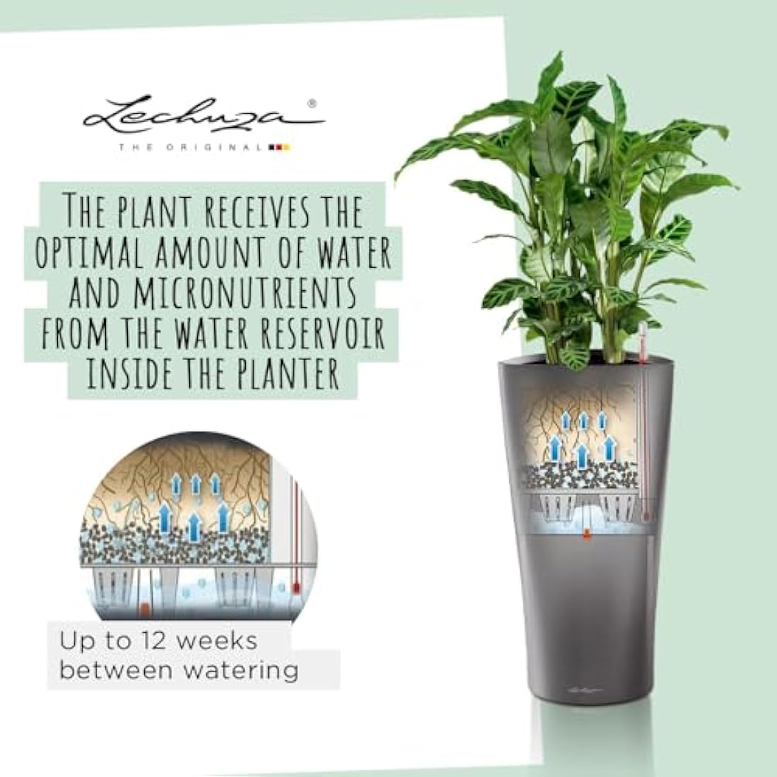 Lechuza Self Watering Plant Pot DELTA 40 Garden Flower Indoor and Outdoor Tall Plastic Planter with Drainage Hole D40 H75 cm Charcoal Metallic