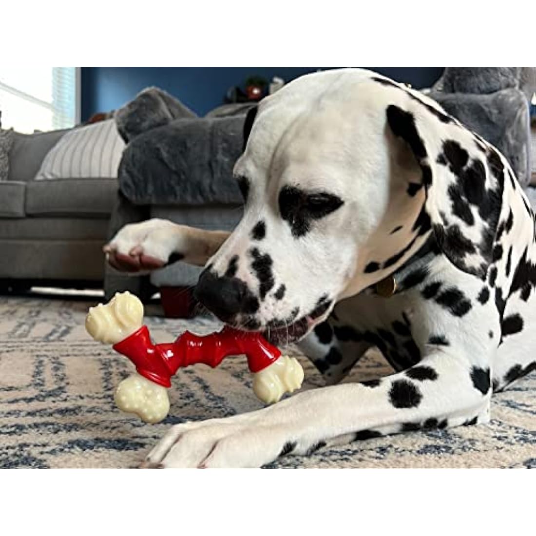 Nylabone Extreme Tough Dog Chew Toy, Double Bend Bone, Cleans Teeth, Bacon Flavour, Medium, for Dogs Up to 16 kg