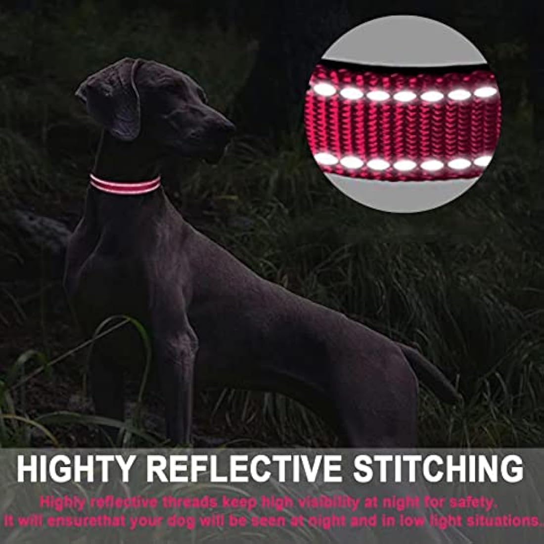 ATETEO Dog Collar, Reflective Adjustable Basic Dog Collar with Soft Neoprene Padding, Durable Nylon Pet Collars for Puppy Small Medium Large Dogs, Hot Pink, M: 13-19.7 inch