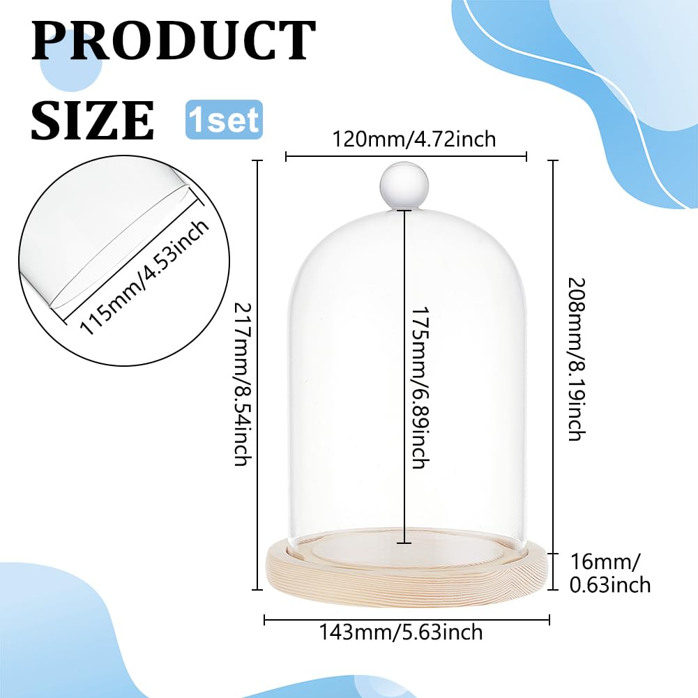 BENECREAT 14x21.5cm Glass Display Dome Inch Cloche Dome with Base Clear Dustproof Dome with Handle Bell Jar Centerpiece Display Case for Specimens