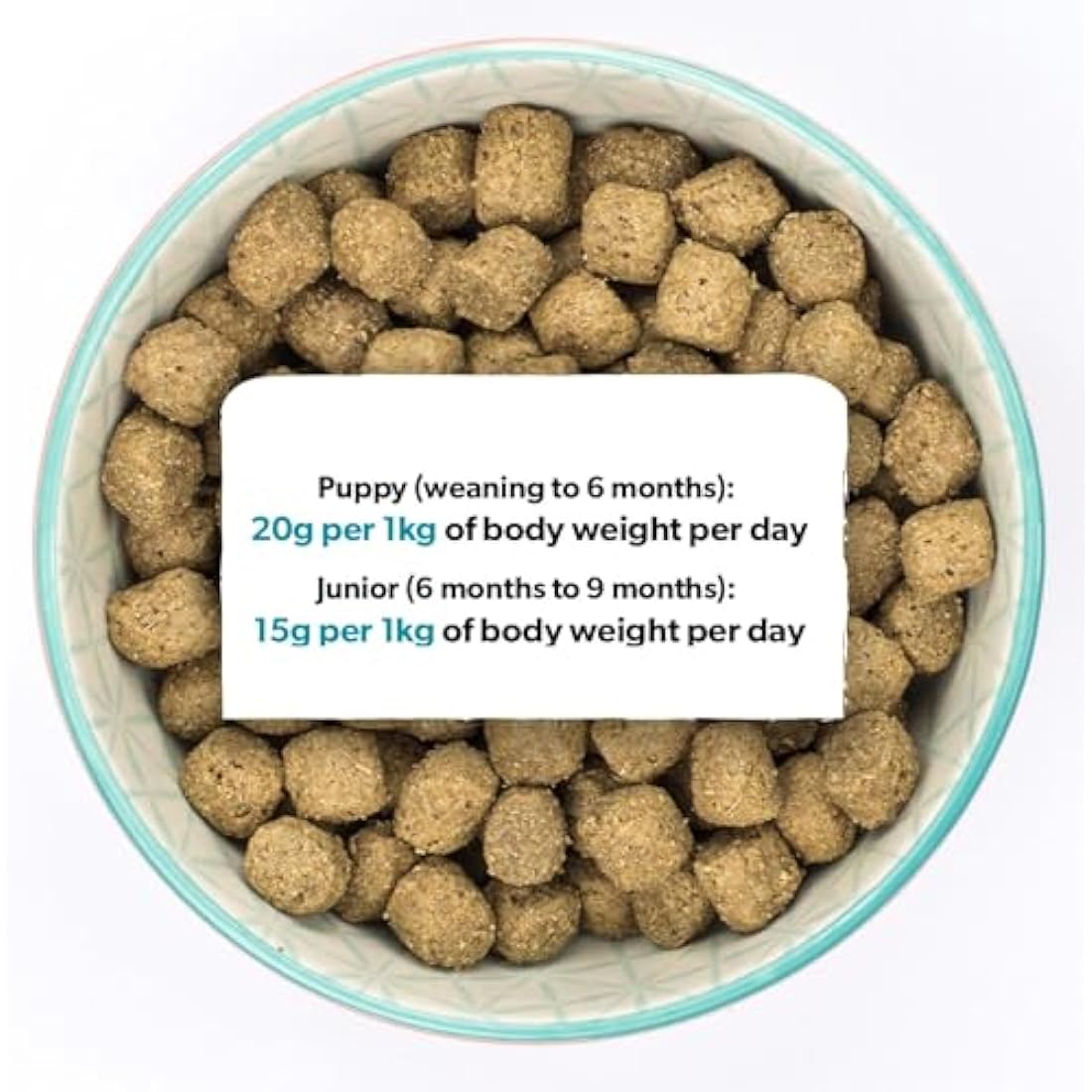 Burns Pet Nutrition Hypoallergenic Complete Dry Dog Food Puppy Original Lamb and Rice 6 kg