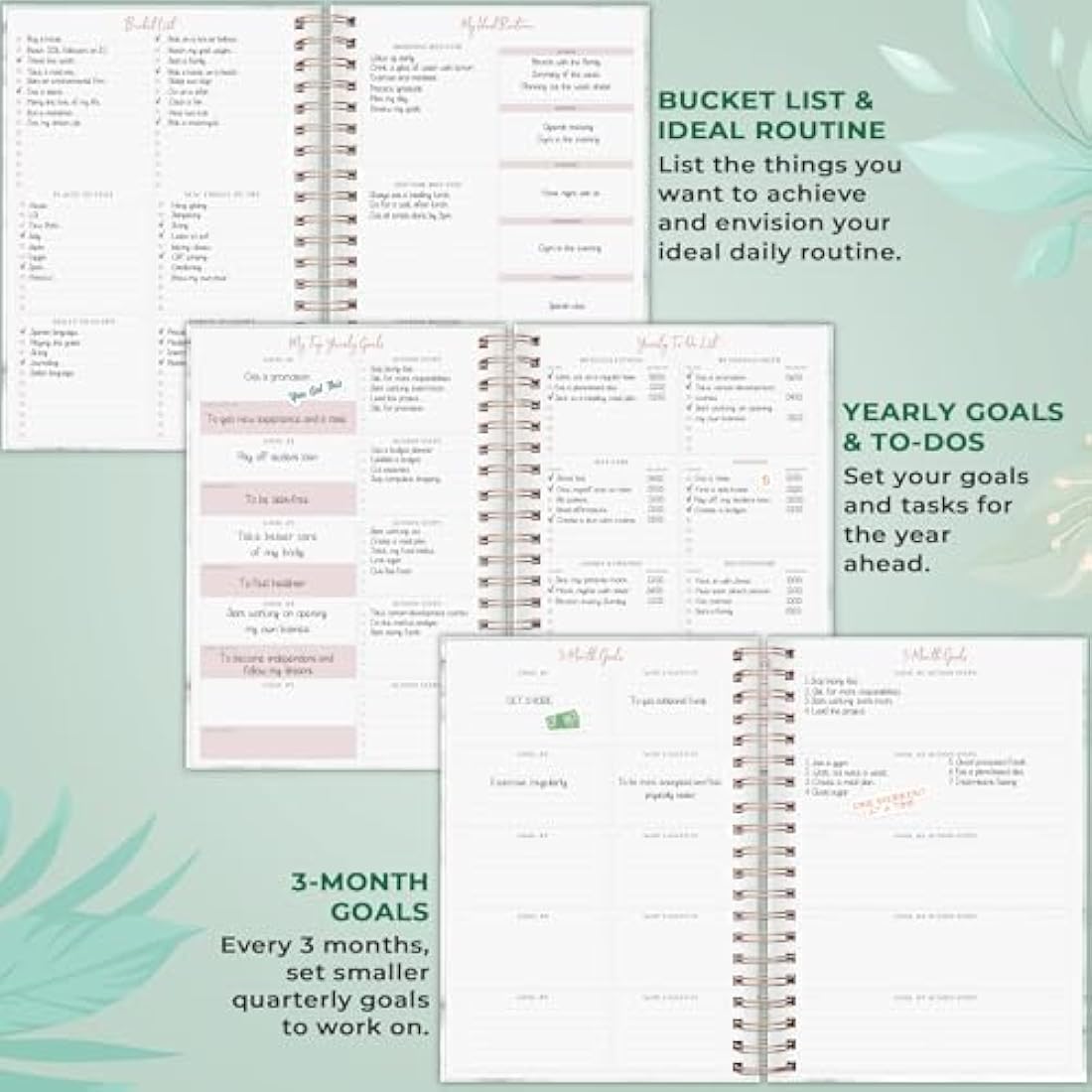 PLANBERRY Large Hourly Schedule Planner Premium – Undated Organizer for Productivity, Time Management & Budget, 20x27cm (Green Pastures)