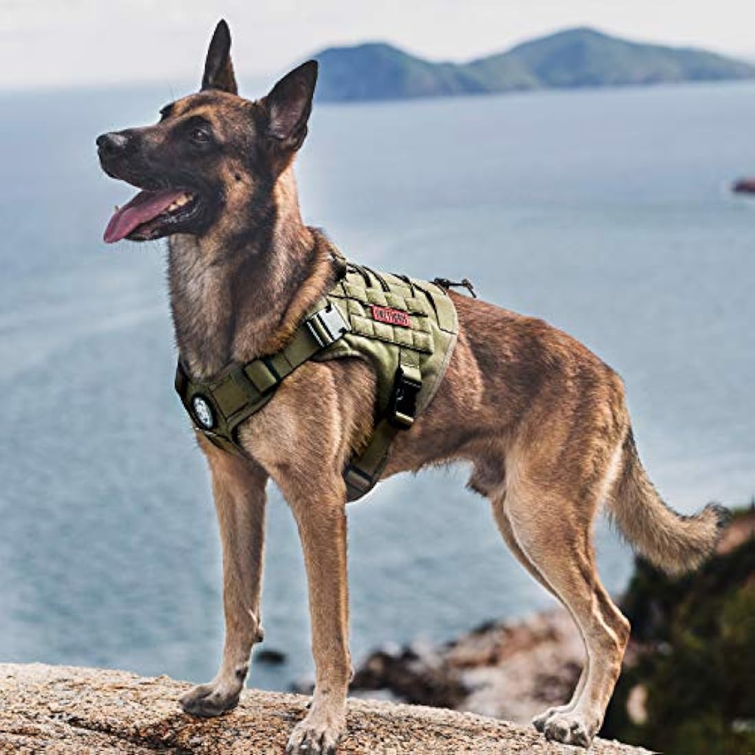 OneTigris Tactical Dog Harness Vest,No-Pull Service Dog Vest with Hook & Loop Panels,Adjustable Dog Vest Harness for Walking Hiking Training(Ranger Green,X-Large)…