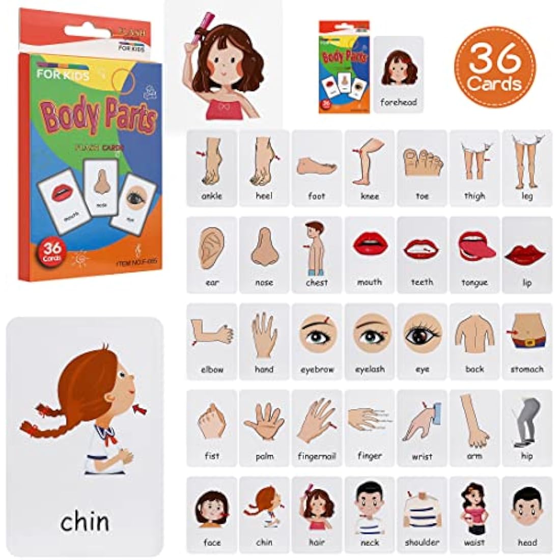 Leyun Kids Flash Cards - Early Learning Set for Toddlers Age 2-4, 4 Pack-144pcs Animals, Fruits, Body Parts & Colors