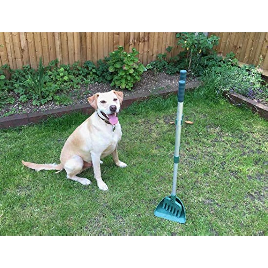 MDC Arms Length Pooper Scooper for Dogs – No-Bend Pet Waste Picker with Rake and Scoop – Ideal for Grass or Paths – Easy Clean Garden Waste Remover – Long Handle & Lightweight Design