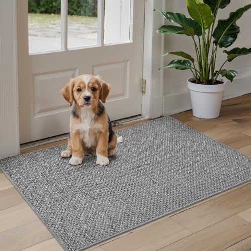 DEXI Door Matts Indoor 61 x 92 cm, Dirt Trapper Doormats Inside with Non Slip Rubber Backing, Low Profile Absorbent Entrance Mat for Muddy Shoes and