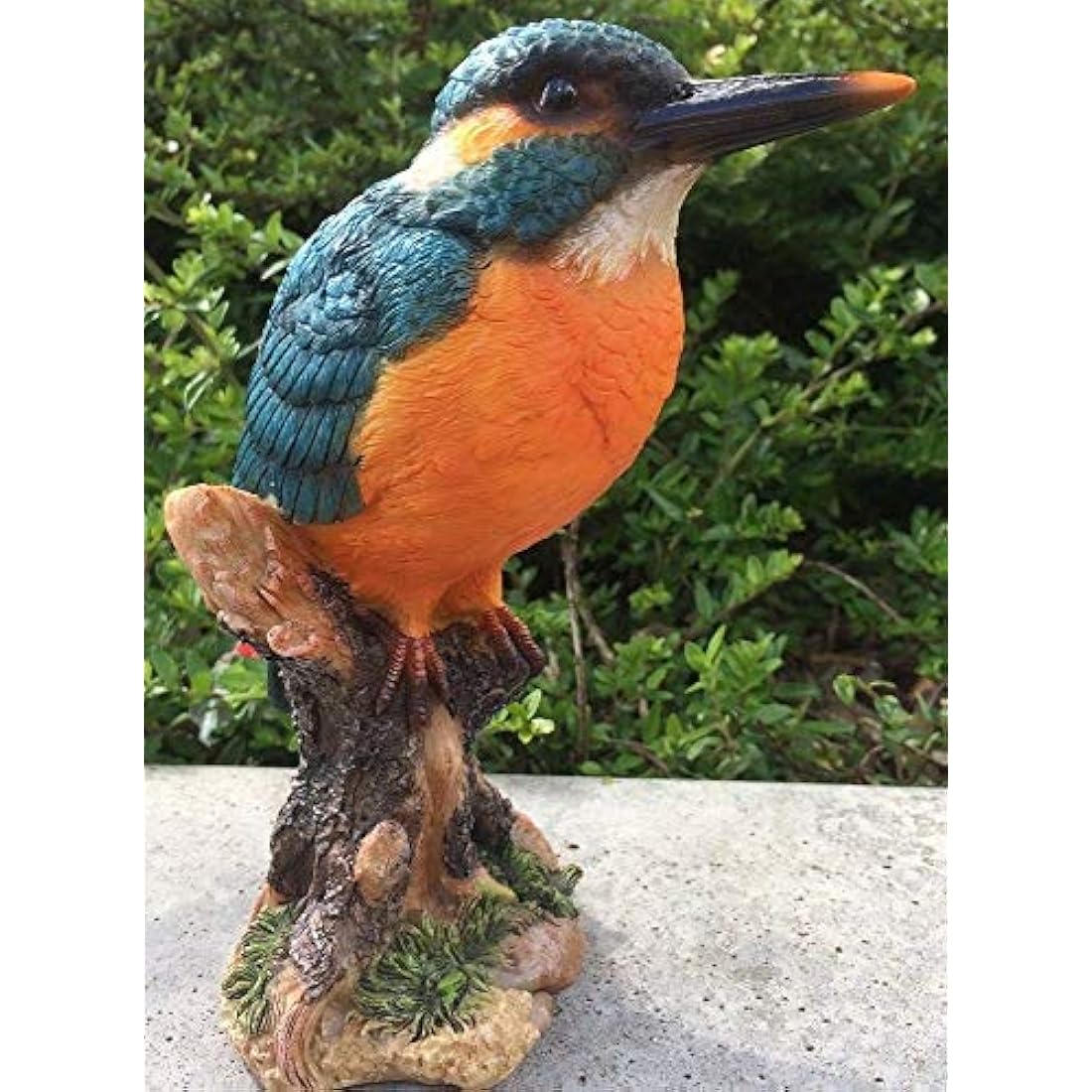 Kingfisher on a Stump, Wild Bird Collection by Vivid Arts
