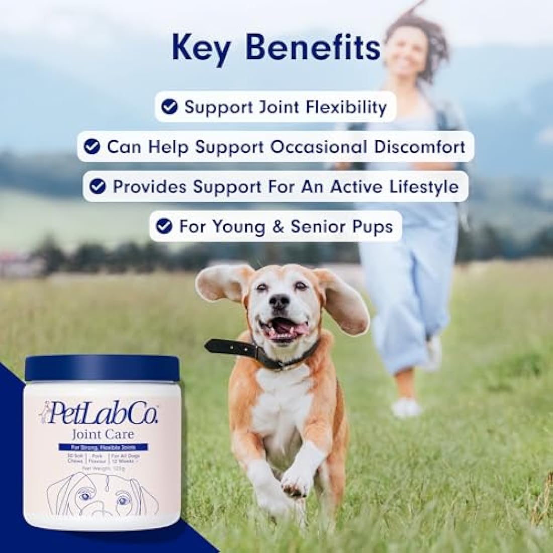 PetLab Co. Joint Care Chews – Daily Joint Supplements For Dogs - Help Promote An Active & Healthy Life - Rich In Glucosamine, Turmeric, Salmon Oil To Support Mobility & Healthy Joints