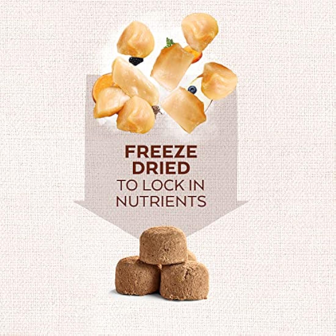 Nature's Variety Complete Freezed Dried Food Chicken for Dogs Mini & Small - Case 7 x 120 g