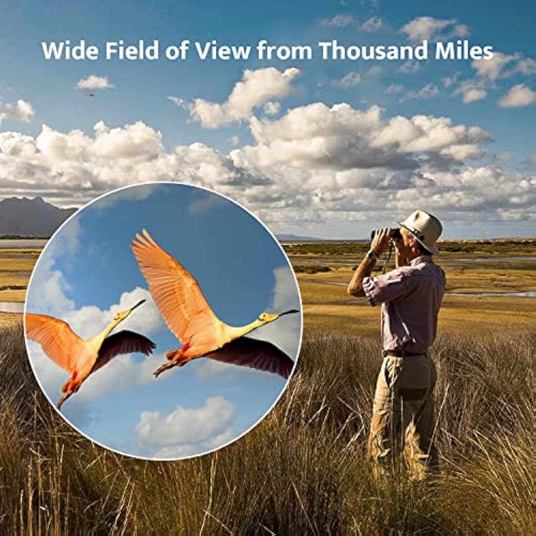 Binoculars for Adults Bird Watching usogood 12x50 High Power Binoculars for Stargazing, Traveling, Hunting and Hiking with Tripod Phone Adaptor for Photography - BaK-4 Prisms, FMC Lens Black