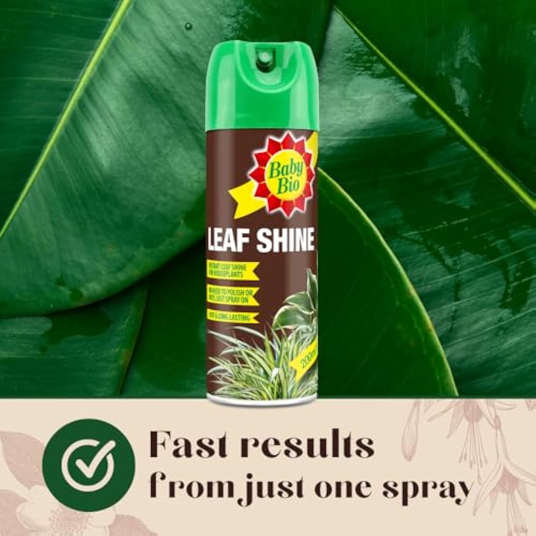 Baby Bio 84899143 Leaf Shine, 200ml - Ready To Use Houseplant Care - Aerosol Spray for a Natural Long Lasting and Healthy Shine - Removes Dust from Plant Leaves - Prevents Yellowing