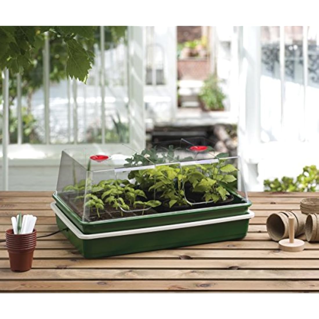 Garland GAL60PV 50 W Variable Temperature Control Electric Propagator, Black, 59x41x27 cm