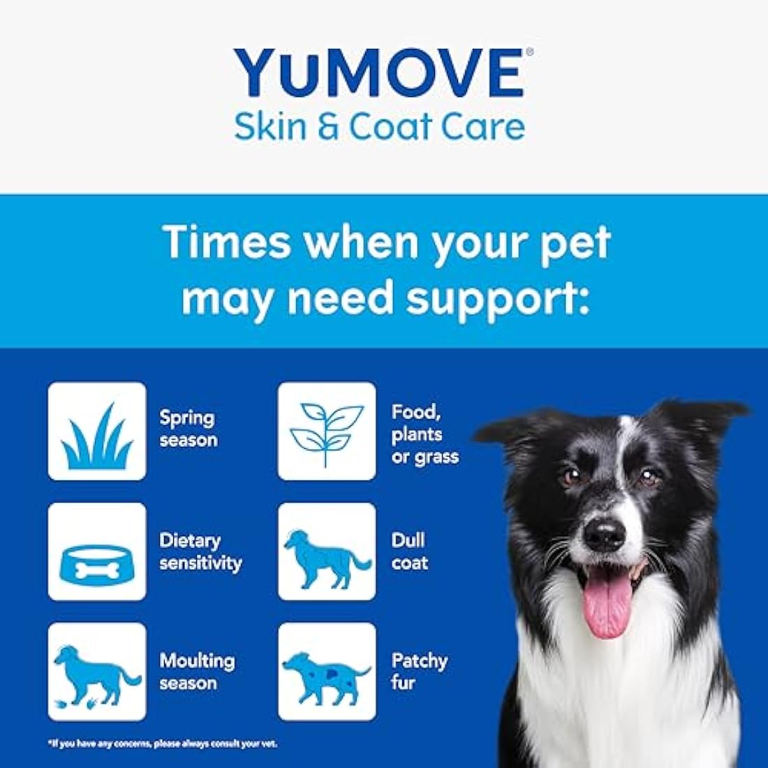 YuMOVE Skin & Coat Care Moulting Supplement for Dogs, Coat and Skin Supplement for Dogs with Skin Irritation, Dull Coats and Excess Moulting, 500ml