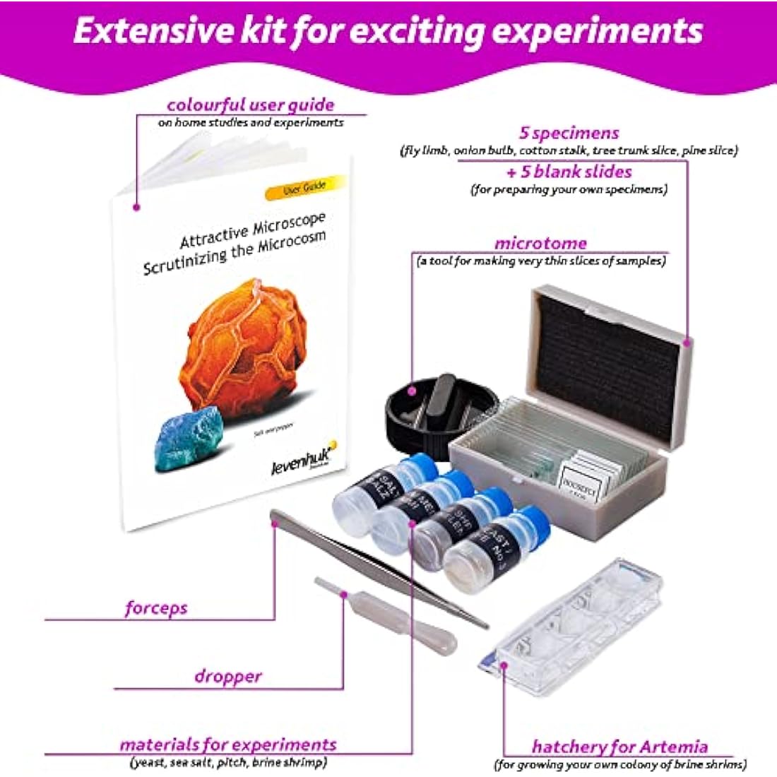 Levenhuk LabZZ M101 Amethyst 640x Portable Microscope Science Kit for Children with LED Light, Kids Beginner Educational STEM Toys Set, Prepared Sample Slides, and Illustarted Experiment Guide (EN)