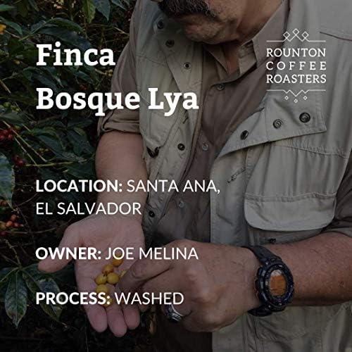 Rounton Coffee Roasters | 1kg El Salvador Bosque Lya | Great Taste Award Winning Coffee 2020 | Smooth Medium Roasted Coffee Beans | 100% Arabica Espresso Coffee Beans