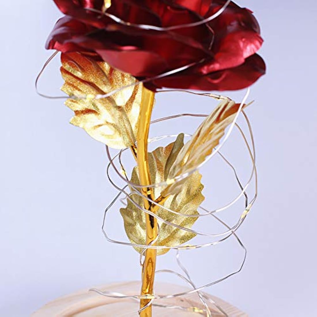 TINYOUTH 24K Red in Glass Dome, Gold Plated Light Up Rose Batteries Included Rose Gifts for Women/Her/Mum Wedding Anniversary Valentines Birthday Xmas
