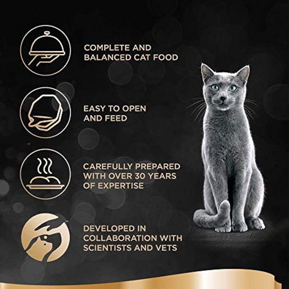 Sheba Classics Cat Food Trays Salmon in Terrine, 85 g (Pack of 22)