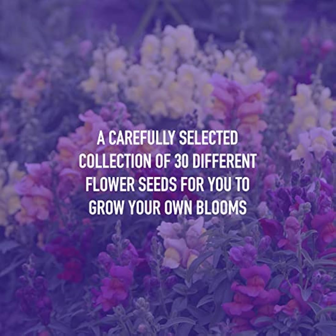 Scott&Co. Flower Seed Variety Pack - 30 Different Varieties of Flower Seeds to Grow Your Own. Butterfly and Bee Attracting, Grow Indoor and Outdoor. Mother's Day Gifts for Women and Men.