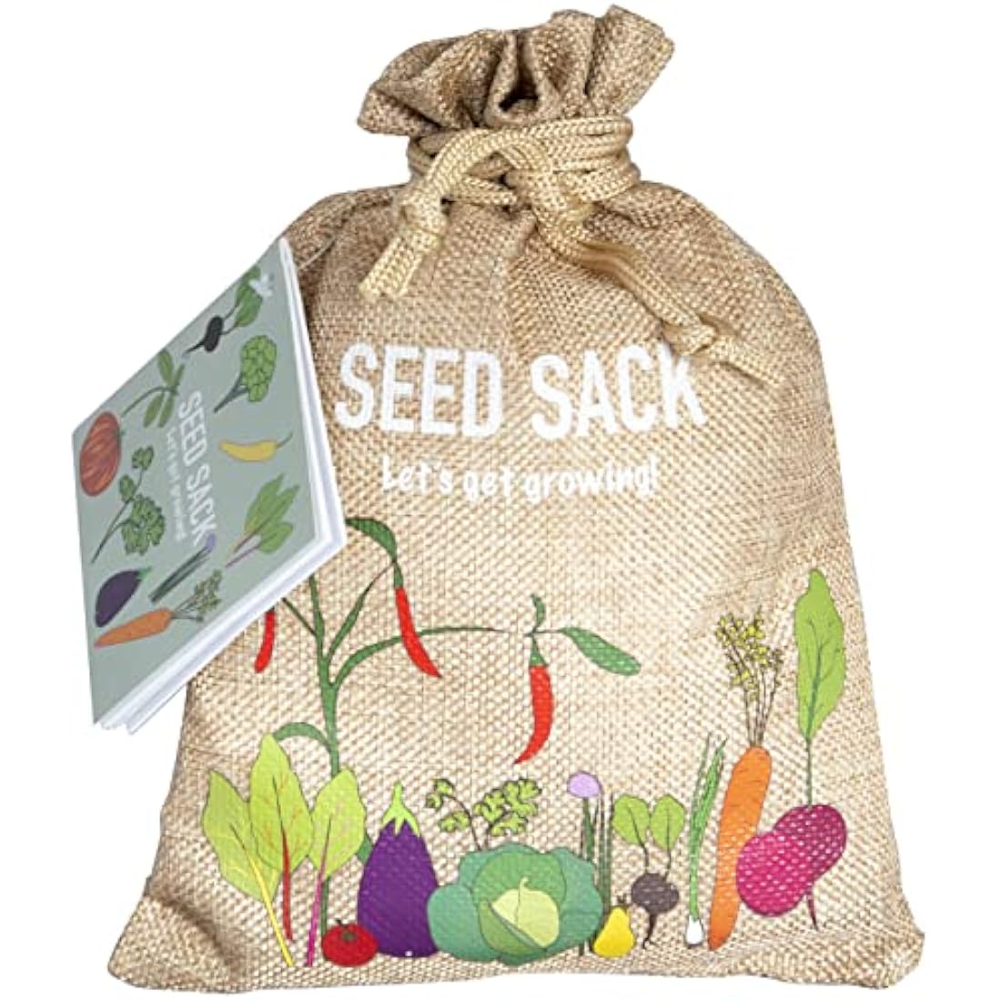 Scott & Co. Vegetable Seeds Variety Pack - 30 Different Varieties of Vegetables, Beans, Herbs and Tomato Seeds. Grow Indoor and Outdoor. Gardening Gifts for Women and Men