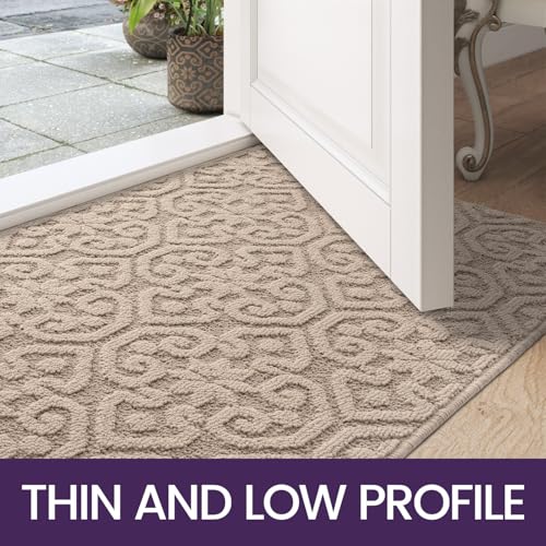 DEXI Door Mats Indoor 81 x 122 cm, Dirt Trapper Doormat with Non Slip Rubber Backing, Thin Washable Front Entrance Mat for Inside, Patio, Porch, Beige