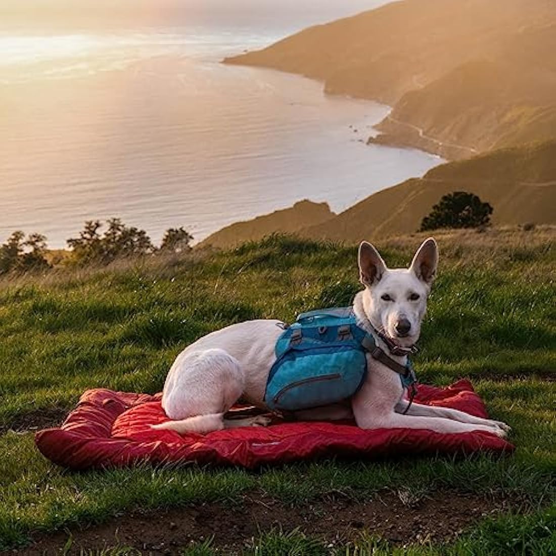 Kurgo Waterproof Dog Bed Wander Loft, Outdoor Portable Bed Roll for Pets, Travel, Hiking, Camping, Chili Red, Medium