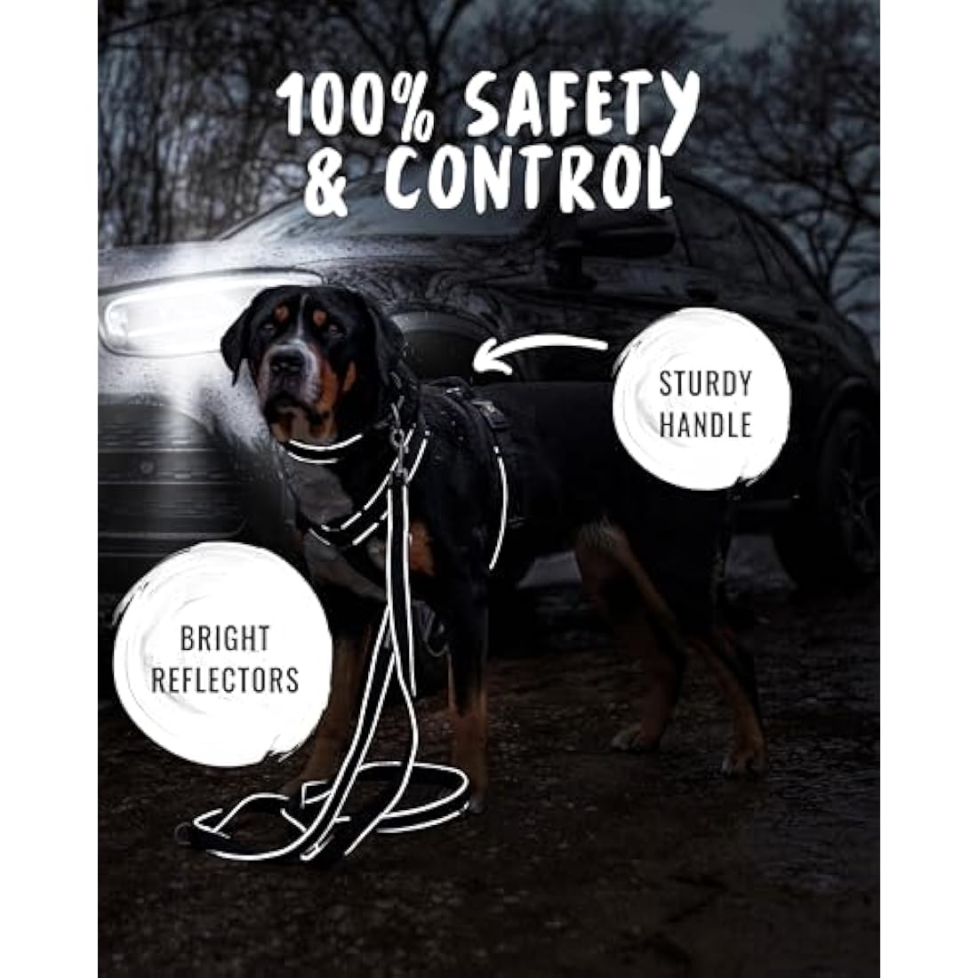 Rudelkönig dog harness Paola - Reflective Chest Harness with Handle - Adjustable large no pull harness for dogs - For very large dogs