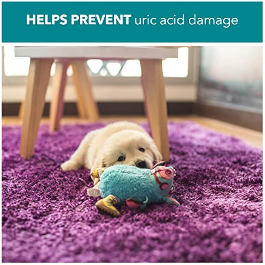 RSPCA 2 x 500ml Pet Stain and Odour Remover Wee Away | Pet Friendly | Probiotic Cleaning - Discourage From Repeat Marking