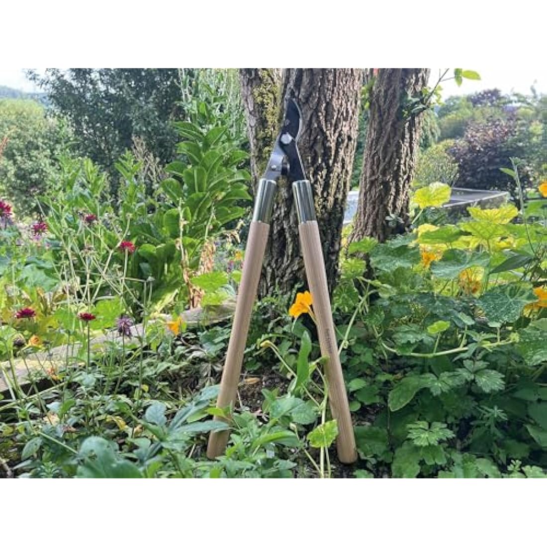 Spear & Jackson 5771KEW Kew Gardens Woodland Collection Garden Bypass Loppers