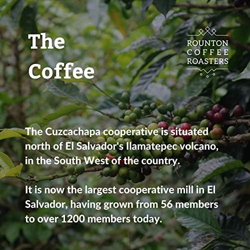 Rounton Coffee Roasters | 1kg Central American Coffee Beans | El Salvador Cooperative Cuzcachapa | Roasted in Yorkshire | 100% Arabica | Fresh Espresso Coffee Speacialty Beans