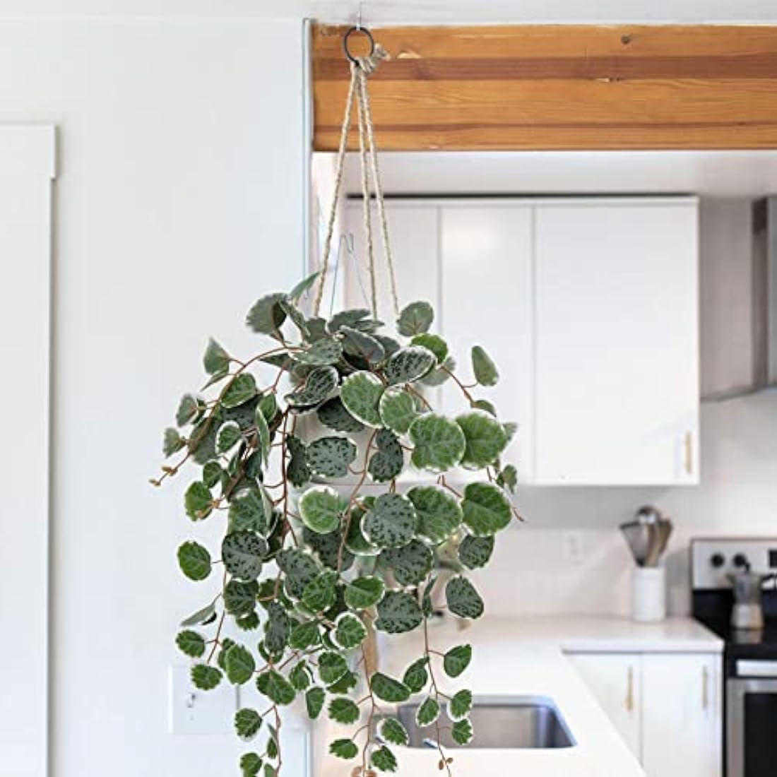 Hollyone Trailing Artificial Plants Decorative Fake Potted Plants, String of Hearts Plants Indoors Outdoors, Faux Trailing Plants Greenery for Home, Wall, Living Room, Bedroom, Office Decor