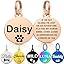 Personalised Pet Tag - Stainless Steel - Scratch Resistant