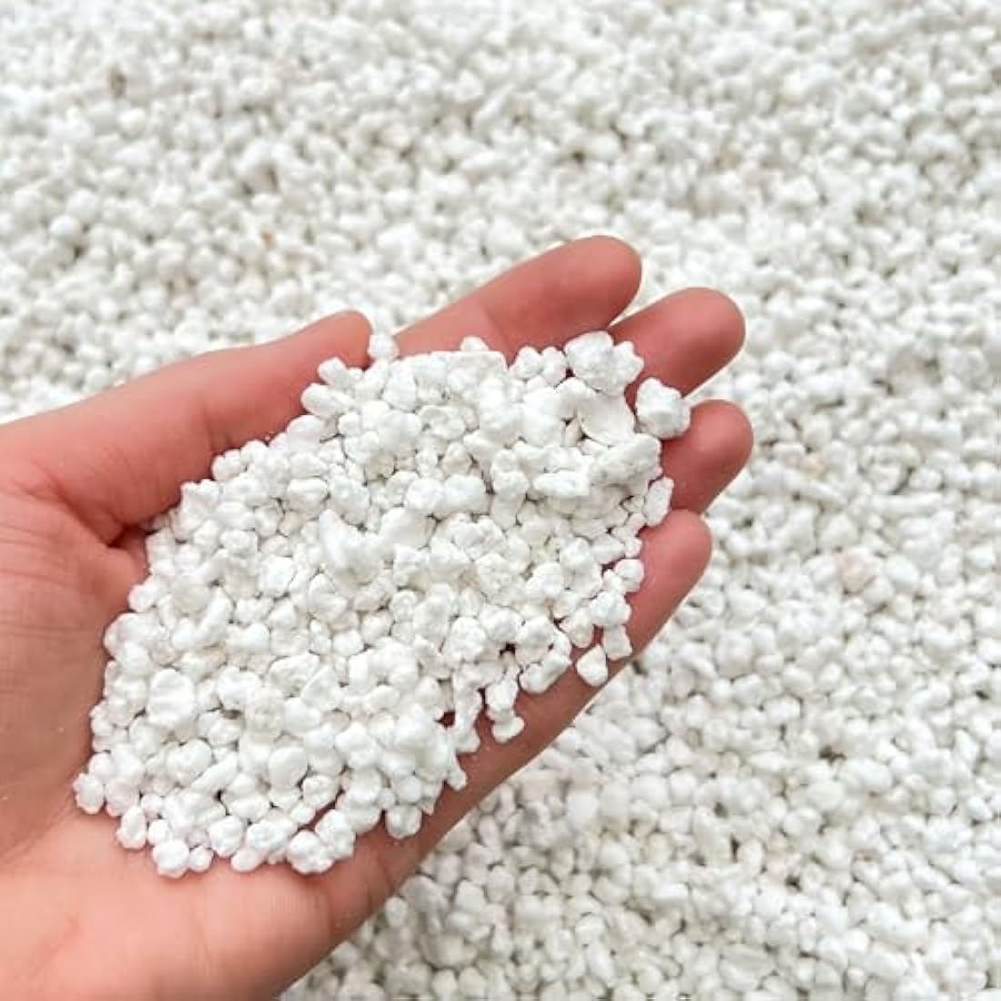 Premium Horticultural Perlite 3-5mm Potting Compost, 1L, 2L, 5L, 10L (10L)
