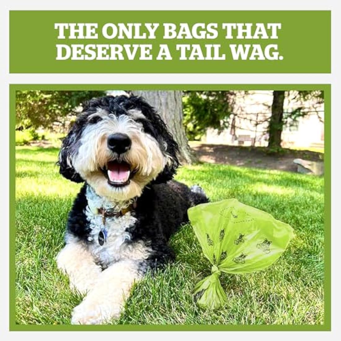 Pogi’s Dog Poo Bags – Biodegradable, Ultra Thick, Leak-Proof, Powder Fresh Scent, 150 Bags (10 Rolls)