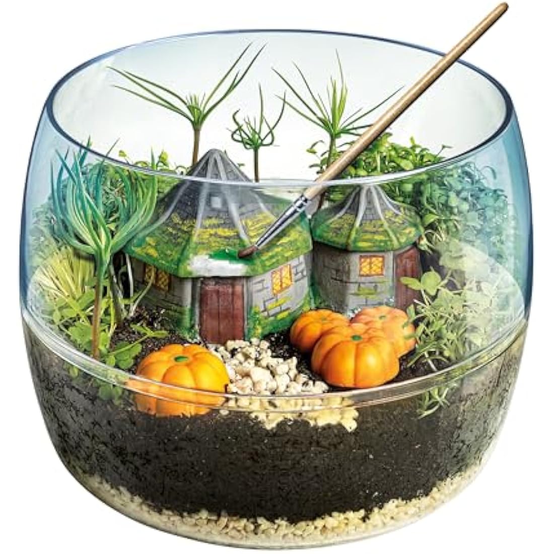 Clementoni- Harry Potter Terrarium Kit: Build Your Magical Greenhouse, Educational Sceintific Toys (7+ Years) - Packaging May Vary