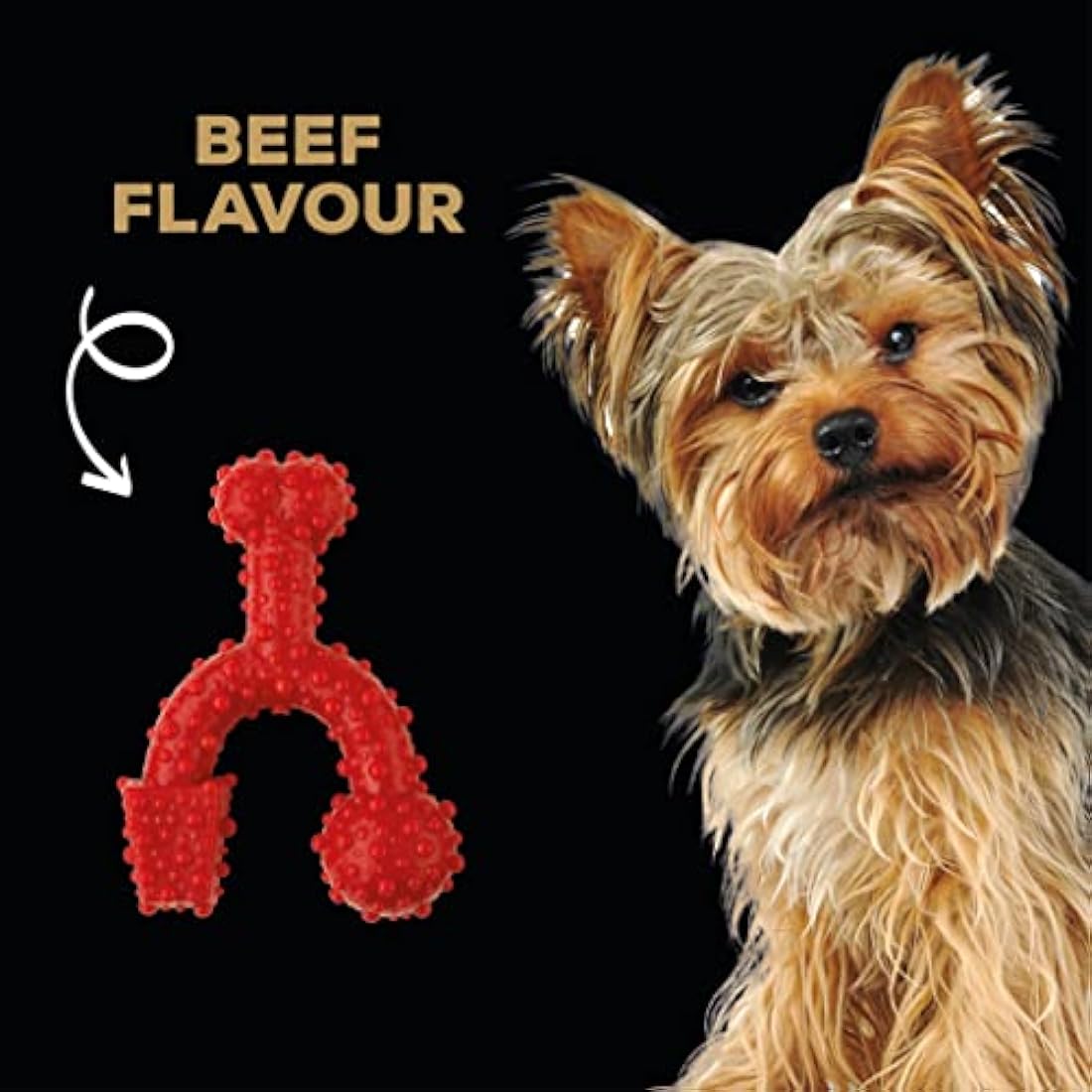 TastyBone TrioBone Nylon Dog Chew Toy for Toy Dogs (Beef) - Indestructible for Aggressive Chewers, Everlasting Flavour, Strong Healthy Teeth, Made in the UK