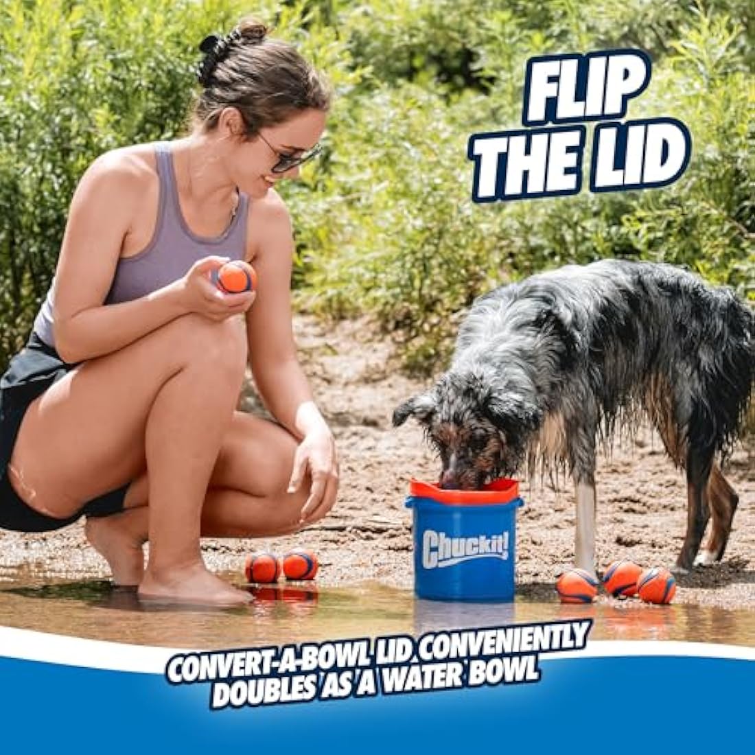 ChuckIt! Ultra Ball Dog Toy Chuckit Bucket Durable Rubber Dog Ball and Bucket High Bounce Floating Chuck It Launcher Compatible Toy Balls For Dogs with Carrier, 8 Pack, Medium