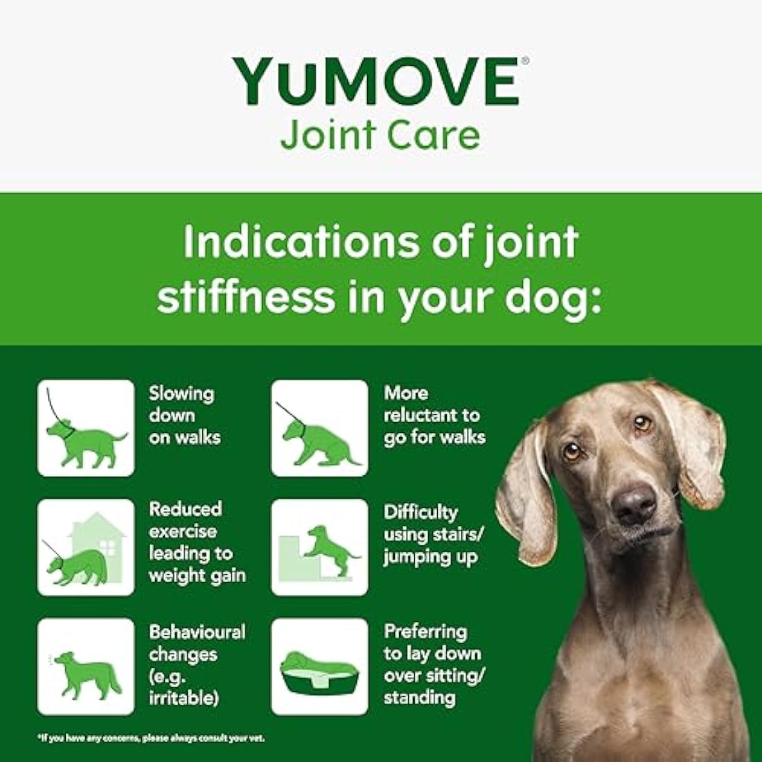 YuMOVE Senior Dog Joint Supplement, Daily Bites for Joint Care, Essential Dog Hip and Joint Aid for Senior Dogs with Glucosamine, Chondroitin, Green Lipped Mussel, Aged 8+, 60 Chews