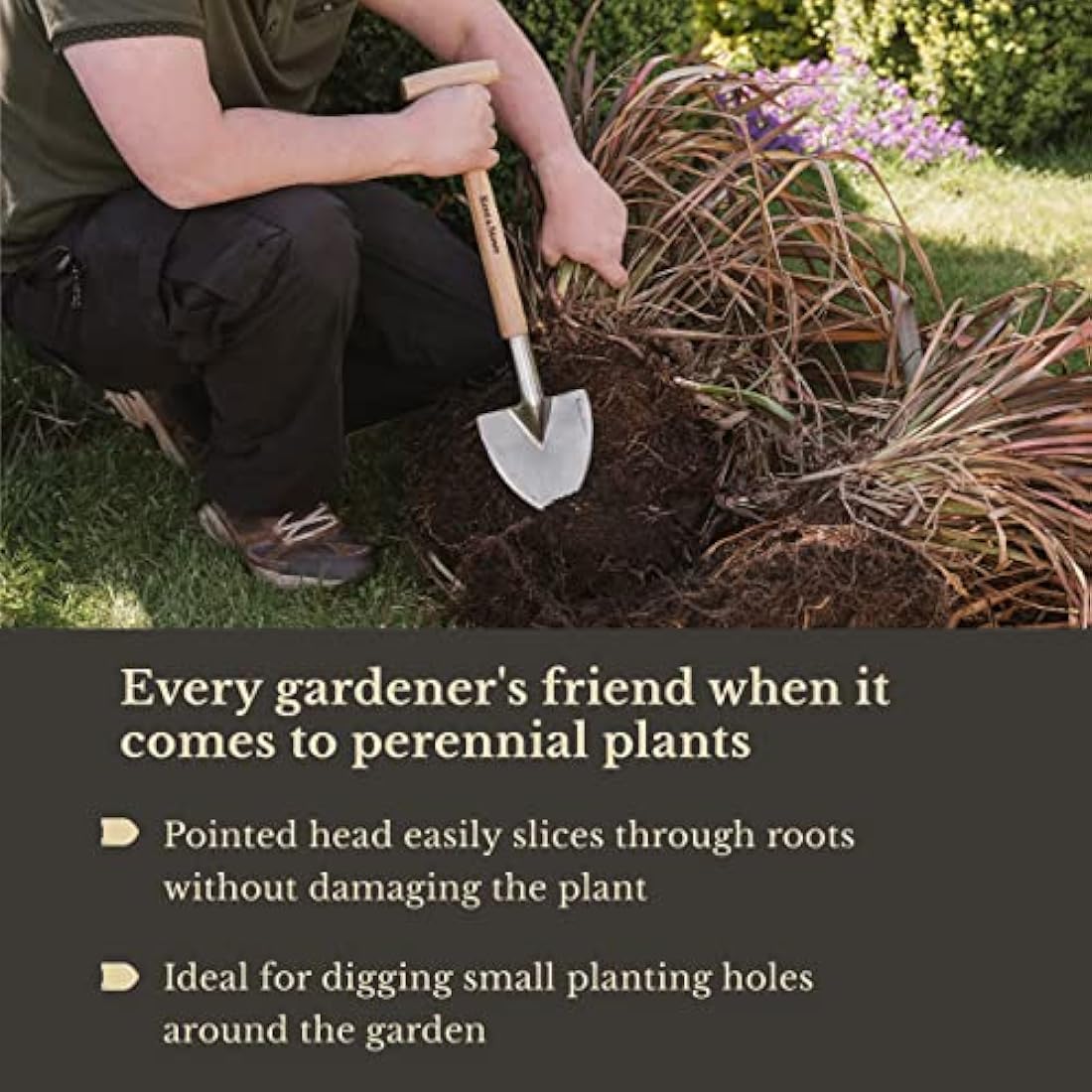 Kent & Stowe Stainless Steel Perennial Spade, Pointed Head Garden Spade for Easy Slicing Through Roots, All Year Round Garden Tools Made from Stainless Steel and Ash Wood